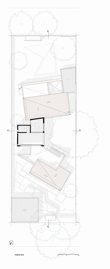 House around the Tree